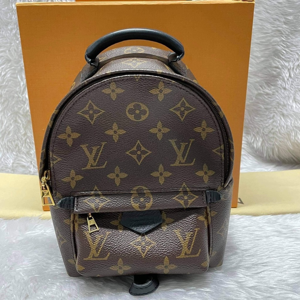 Pre-loved Louis Vuitton PALM SPRINGS MINI